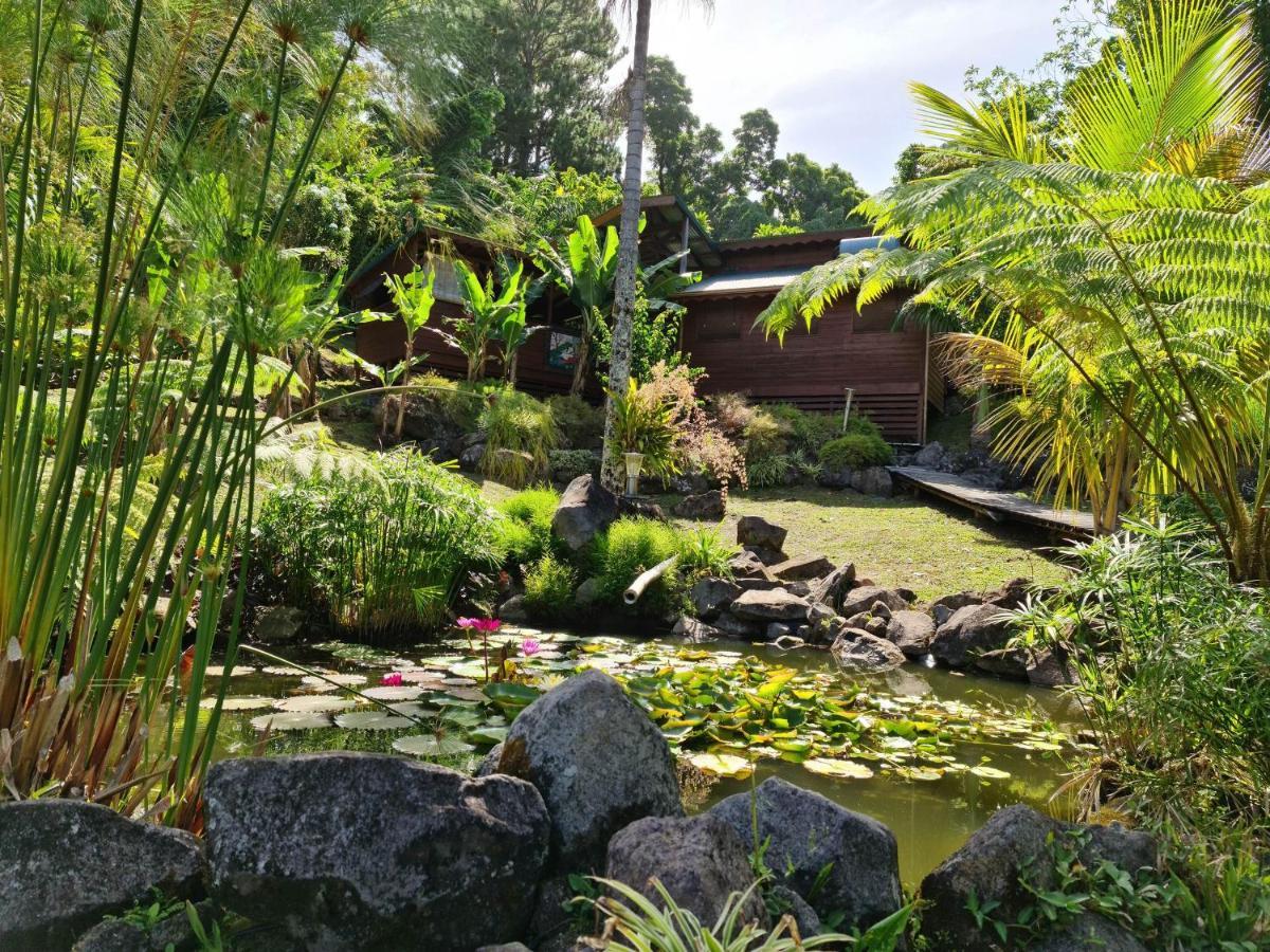 Les Bananes Vertes Ecolodges Saint Claude Bagian luar foto