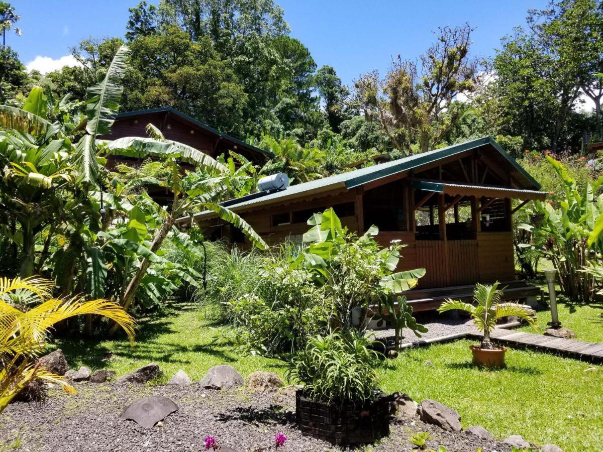 Les Bananes Vertes Ecolodges Saint Claude Bagian luar foto