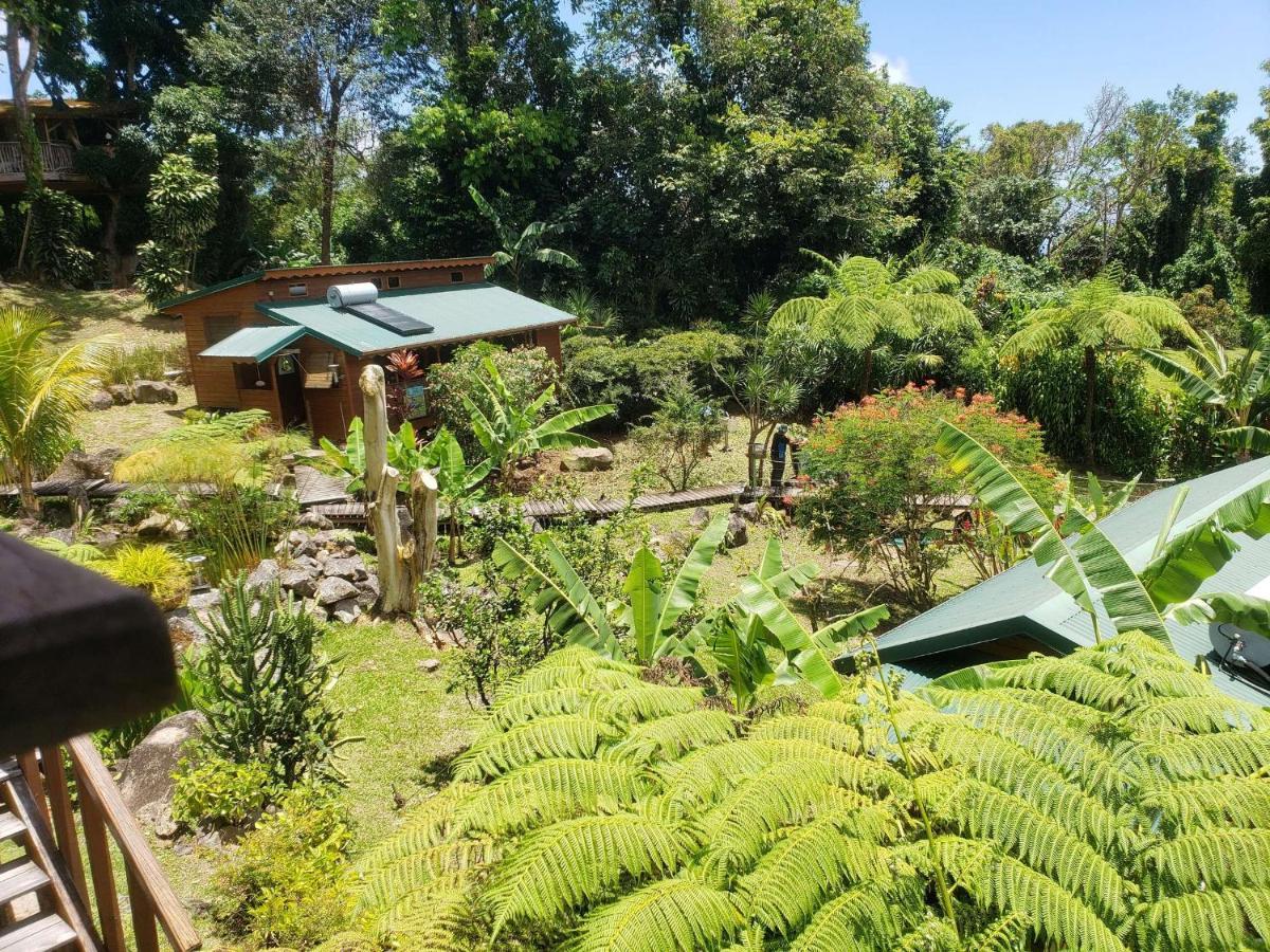 Les Bananes Vertes Ecolodges Saint Claude Bagian luar foto