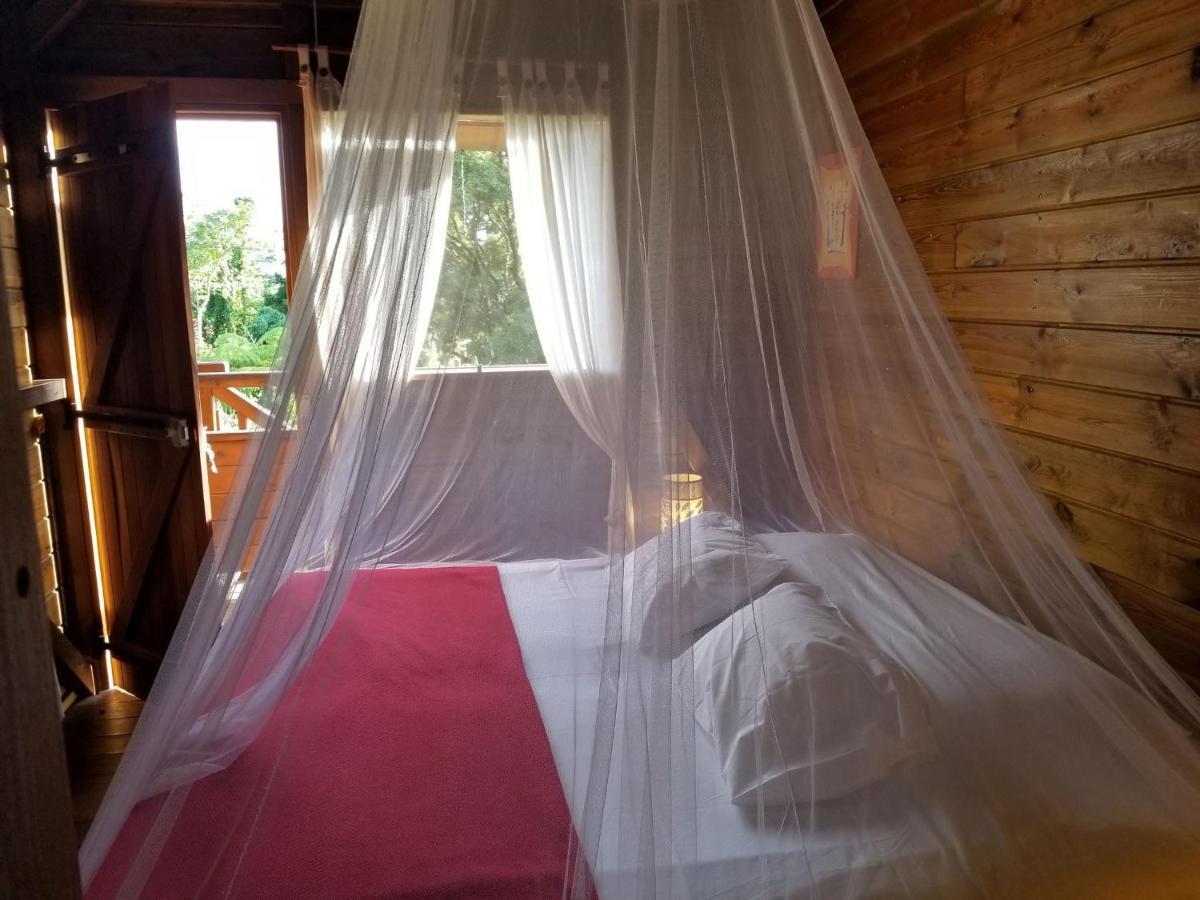 Les Bananes Vertes Ecolodges Saint Claude Bagian luar foto