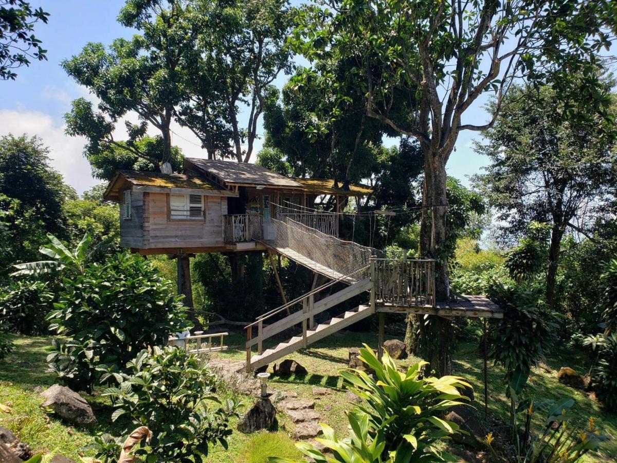 Les Bananes Vertes Ecolodges Saint Claude Bagian luar foto