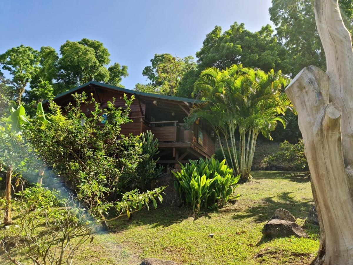 Les Bananes Vertes Ecolodges Saint Claude Bagian luar foto