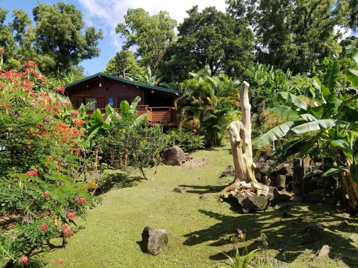 Les Bananes Vertes Ecolodges Saint Claude Bagian luar foto