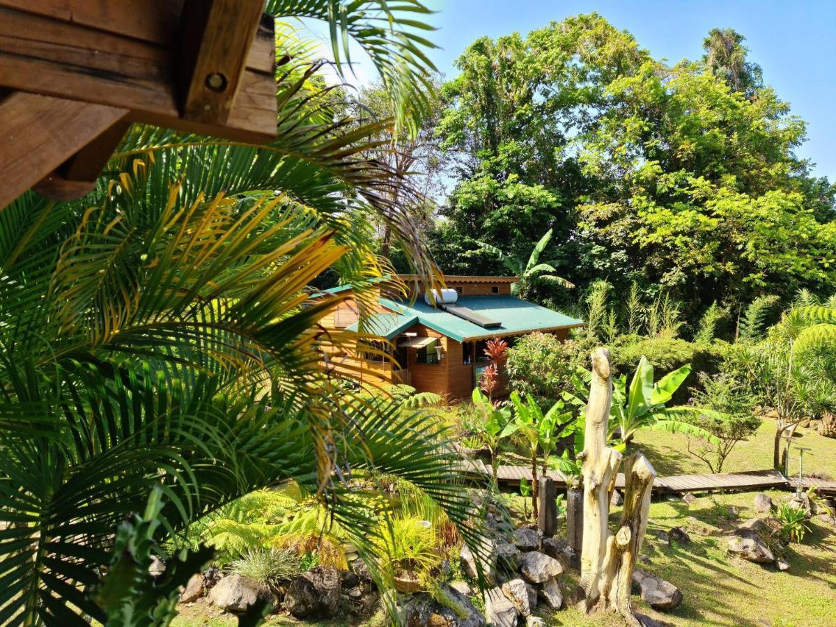 Les Bananes Vertes Ecolodges Saint Claude Bagian luar foto