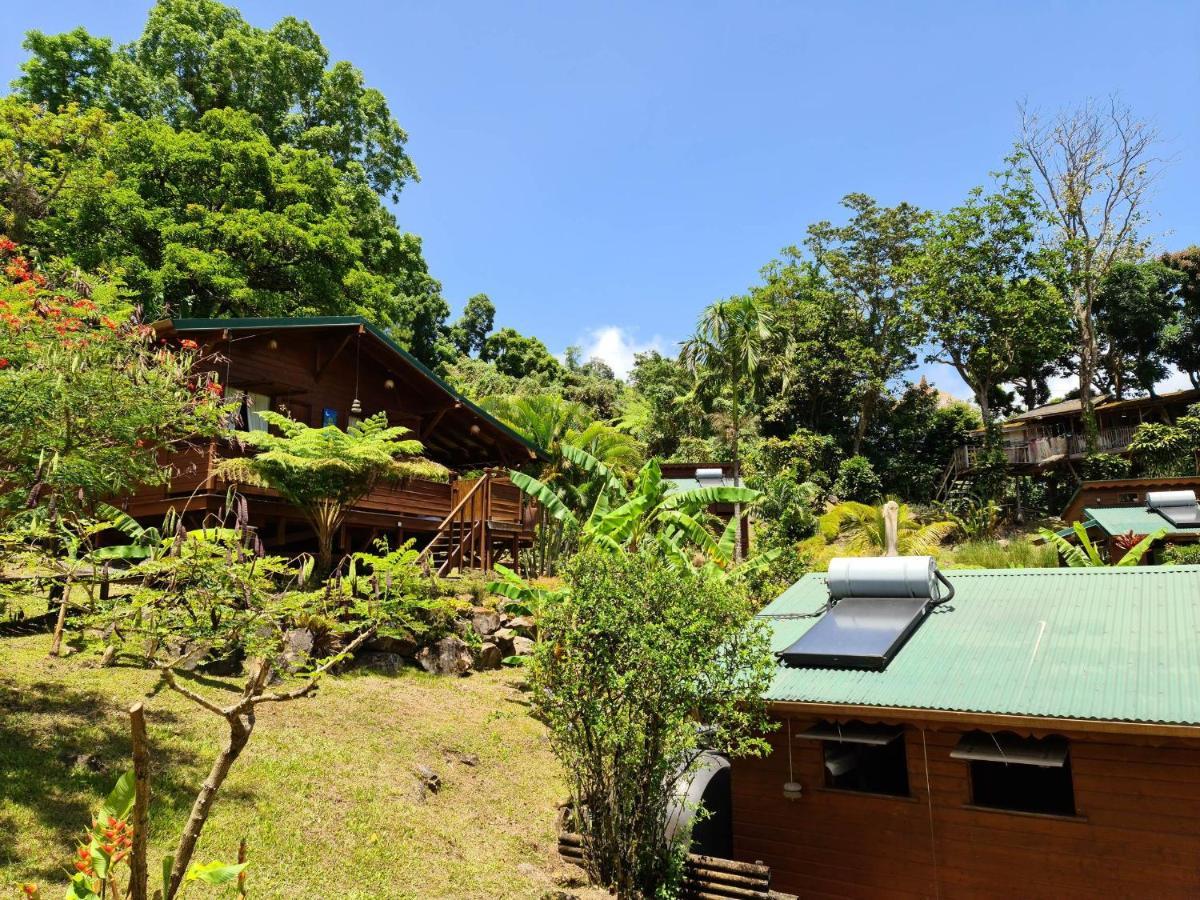 Les Bananes Vertes Ecolodges Saint Claude Bagian luar foto