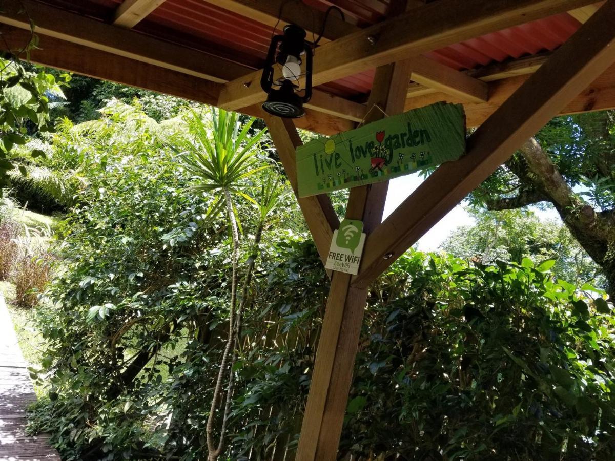 Les Bananes Vertes Ecolodges Saint Claude Bagian luar foto