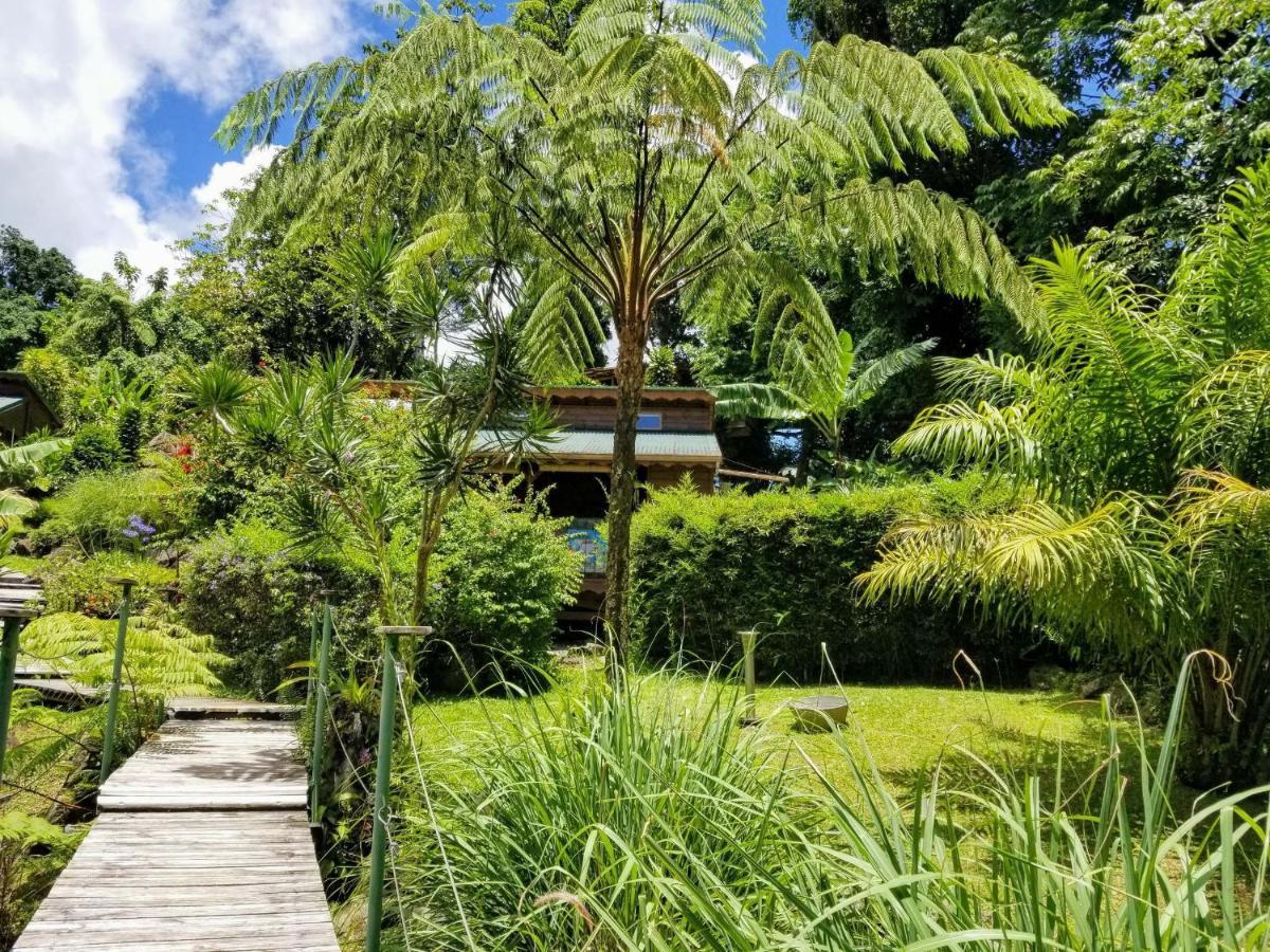 Les Bananes Vertes Ecolodges Saint Claude Bagian luar foto
