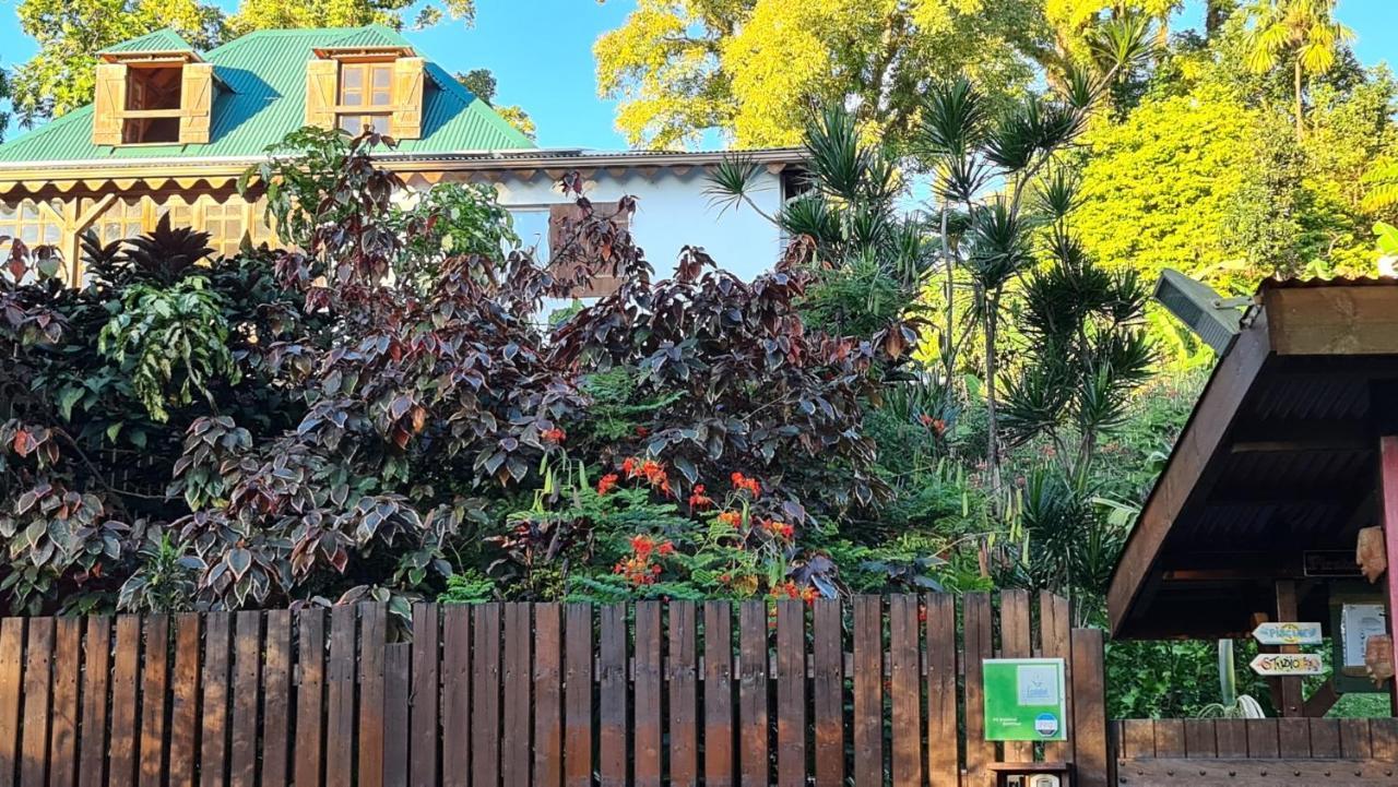 Les Bananes Vertes Ecolodges Saint Claude Bagian luar foto