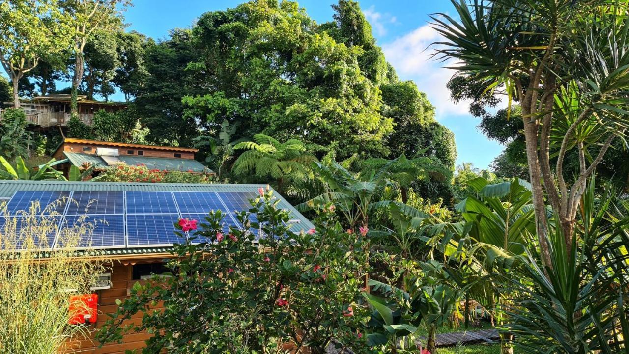Les Bananes Vertes Ecolodges Saint Claude Bagian luar foto